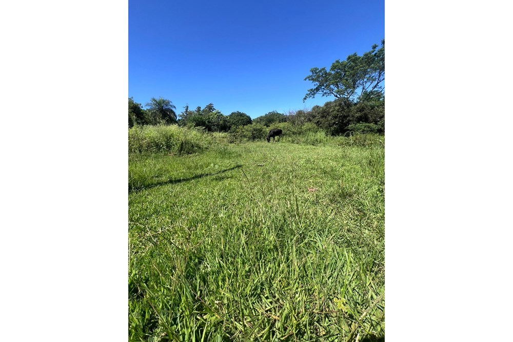 En venta terreno en Itauguá, zona Arsenio Erico, sobre empedrado, a 5 min de Ruta 2 y el centro de la ciudad. — foto 2