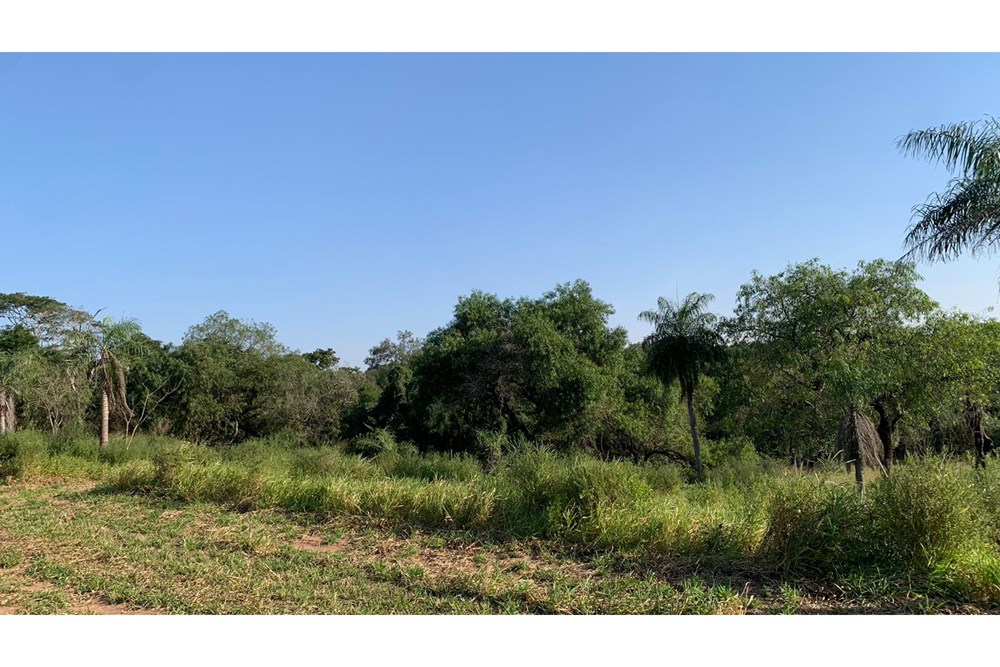 Terreno en venta en Surubi`y, Mariano Roque Alonso — foto 2
