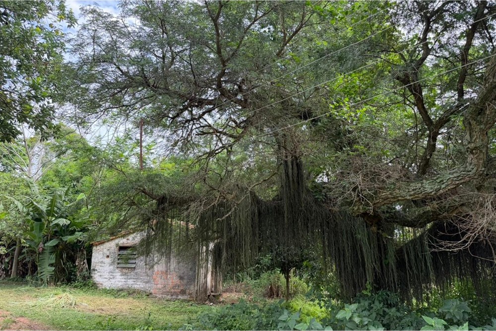 Casa en venta en Jukyty, Nueva Italia — foto 2