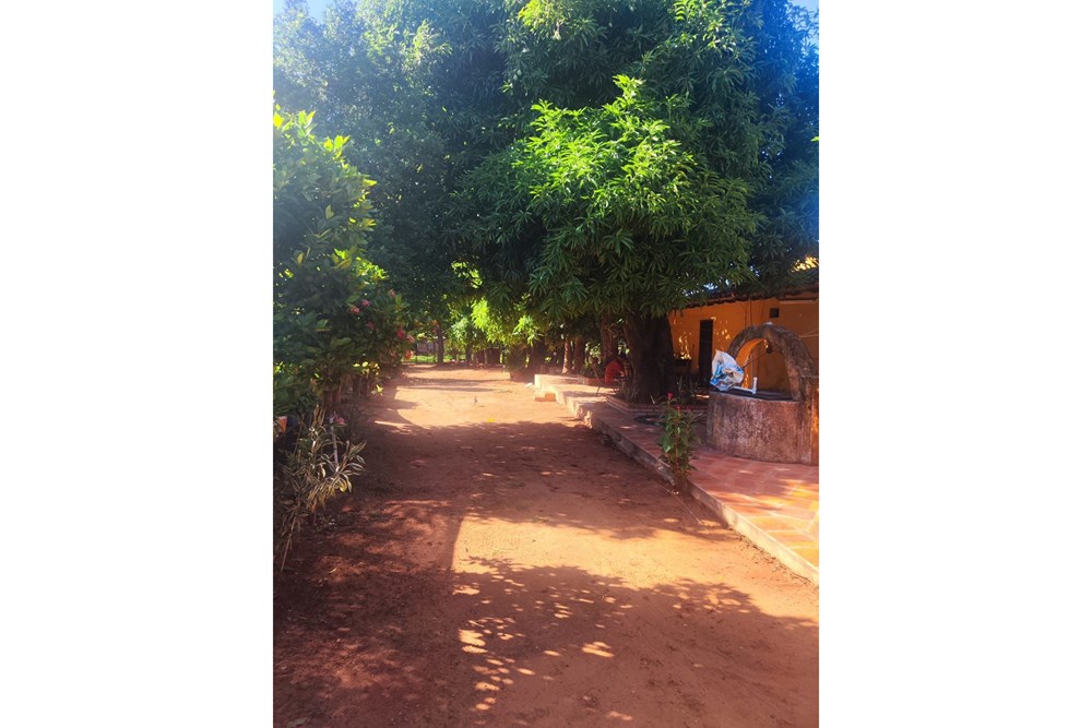Terreno en venta en Guarambaré — foto 2