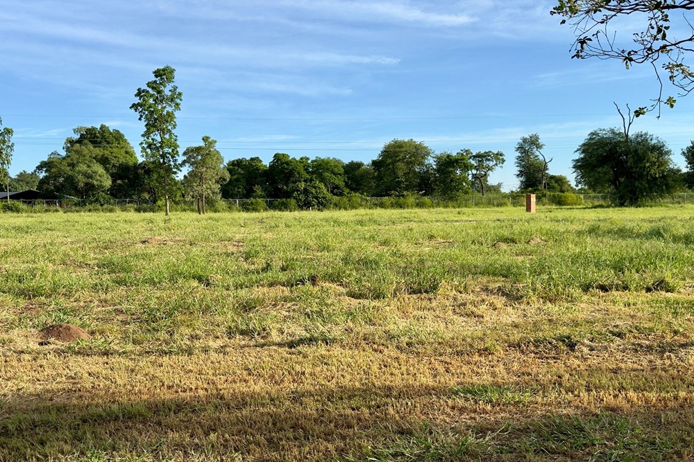 Terreno en venta en Filadelfia — foto 3