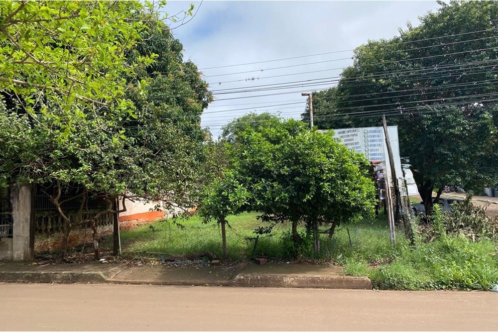 Terreno en venta en Buena Vista, Encarnación — foto 2
