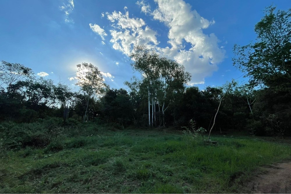 Terreno en venta en San Juan Del Paraná — foto 3
