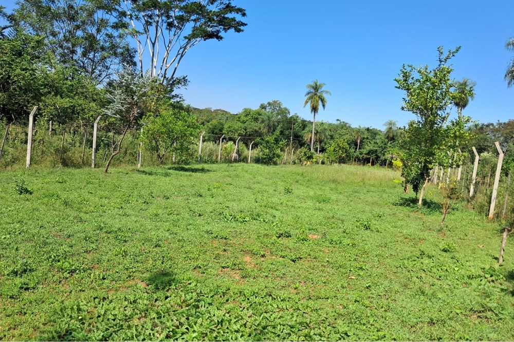 🌿 ¡Descubre una excelente oportunidad en Yaguarón! Km.53 a 2 cuadras de la Ruta 1, Fracción Don Guillermo. — foto 3