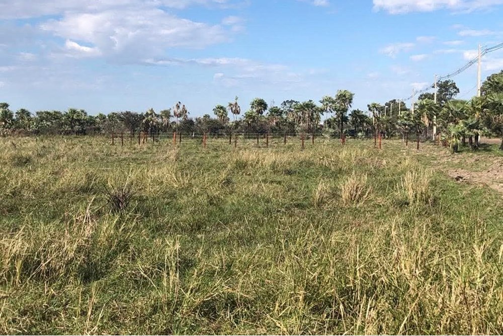 Terreno en venta en Limpio — foto 2