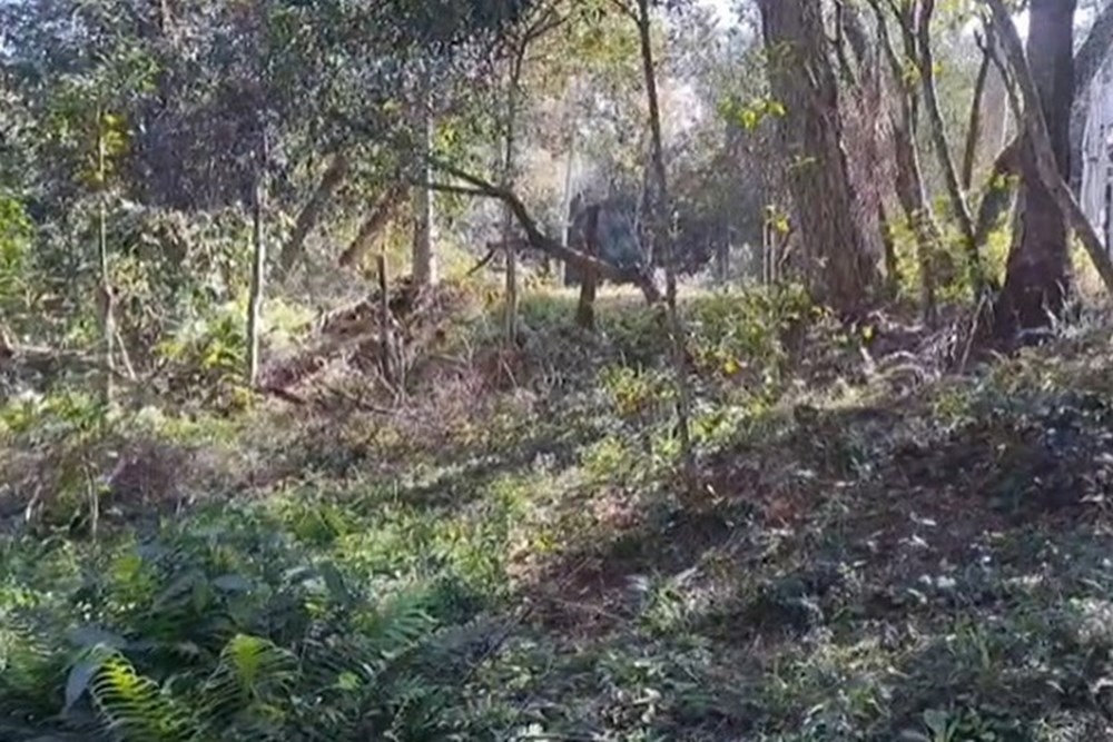 Terreno en venta en Pirayú — foto 3