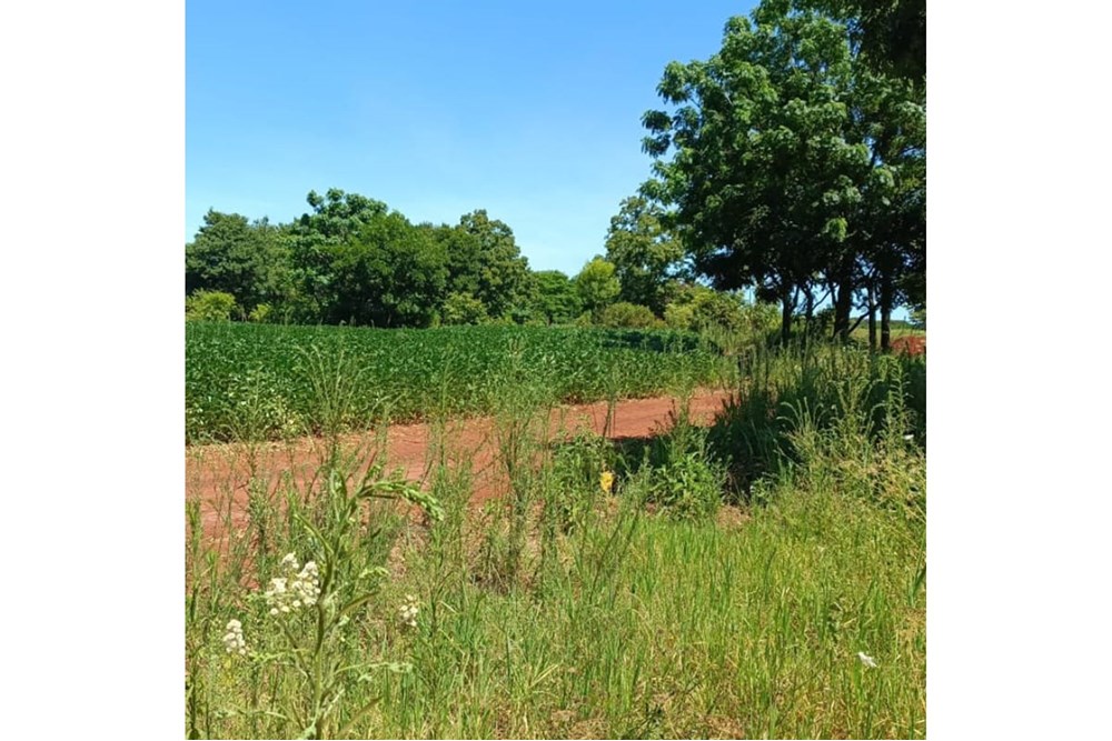 Terreno en venta en Capitán Miranda — foto 3
