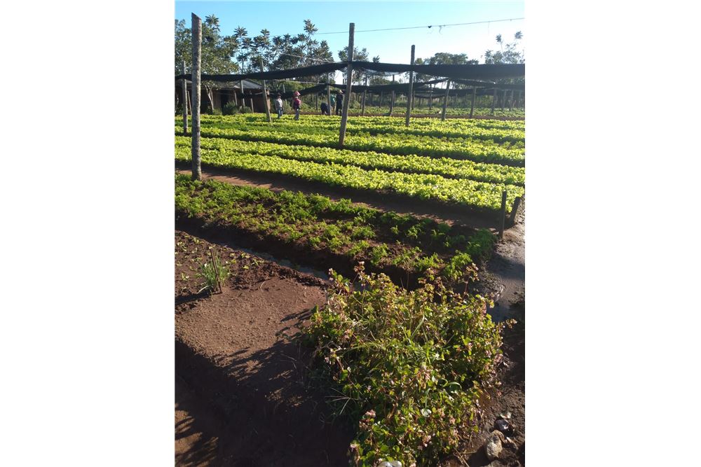 Terreno en venta en San Miguel, Julián Augusto Saldívar — foto 3