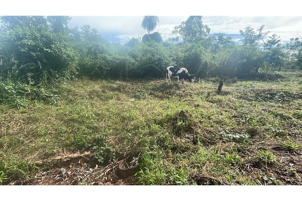 Terreno en venta en Caaguazú — foto 3