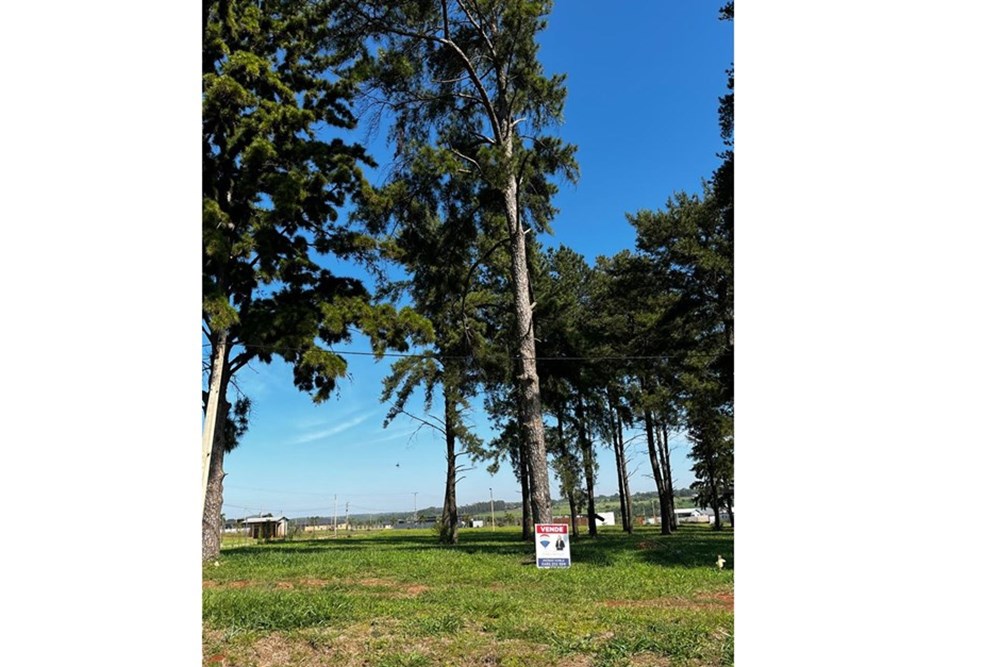 Terreno en venta en Doctor Juan Manuel Frutos — foto 2