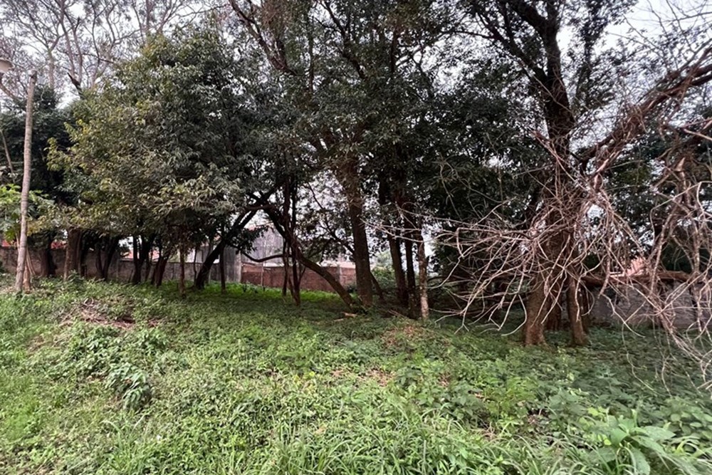 ¡Excelente Oportunidad de Inversión en Paraguay!  — foto 2
