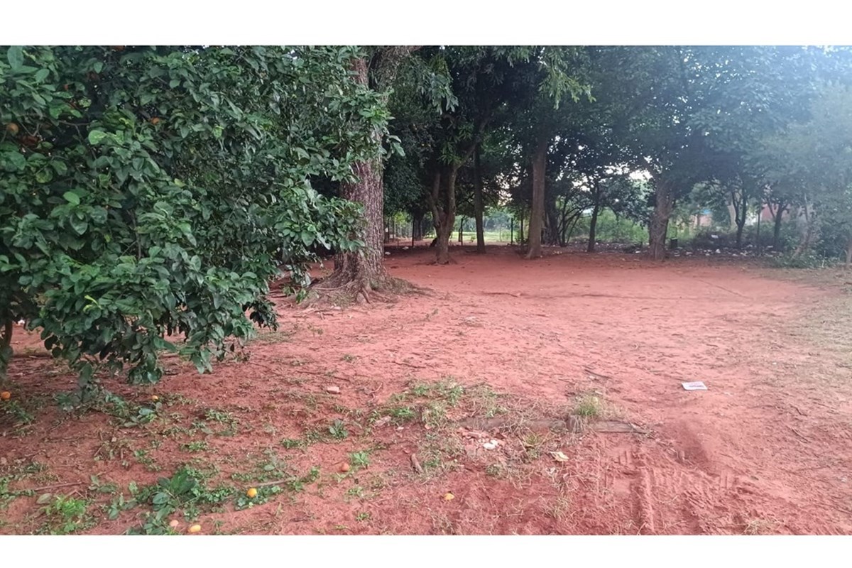 🌳🏡 ¡Invertí hoy en una de las zonas con mayor crecimiento de Areguá! — foto 3