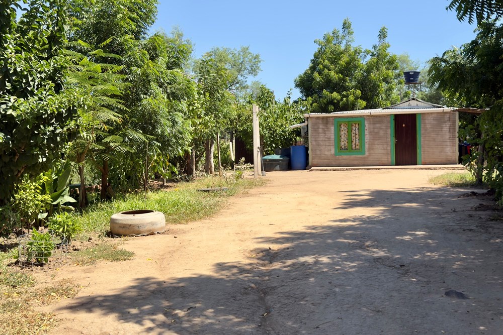 Terreno en venta en Filadelfia — foto 3