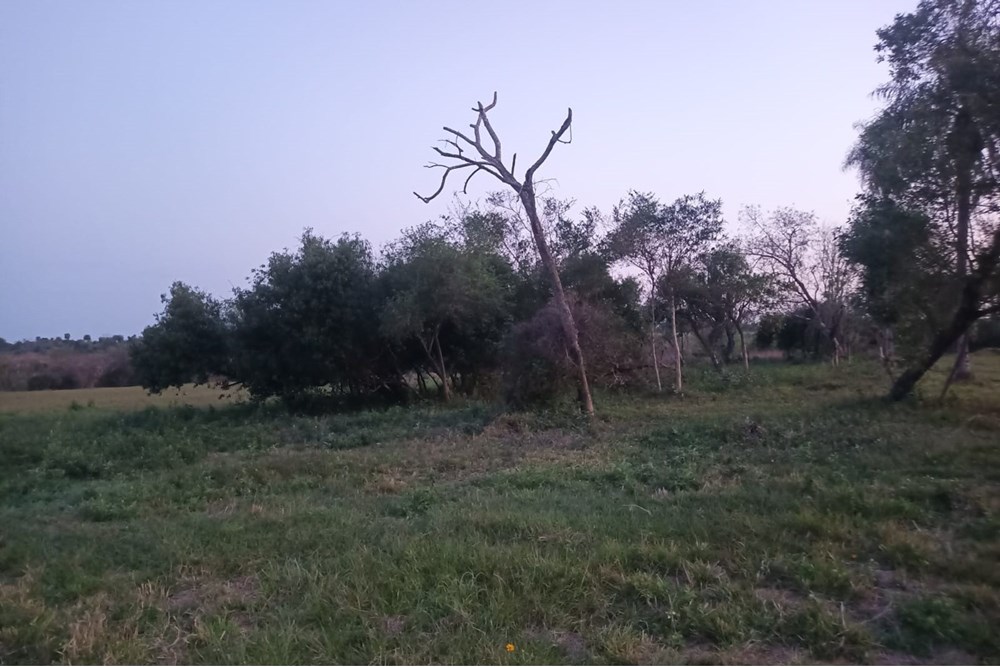 Terreno en venta en Takuruty, Villeta — foto 2