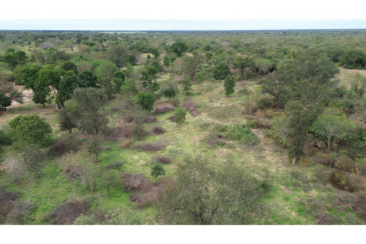 Terreno en venta en Loma Plata — foto 3