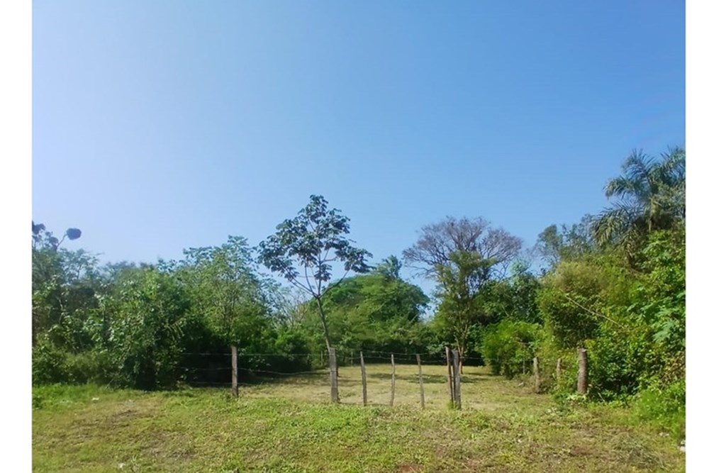 Terreno en venta en Encarnación — foto 2