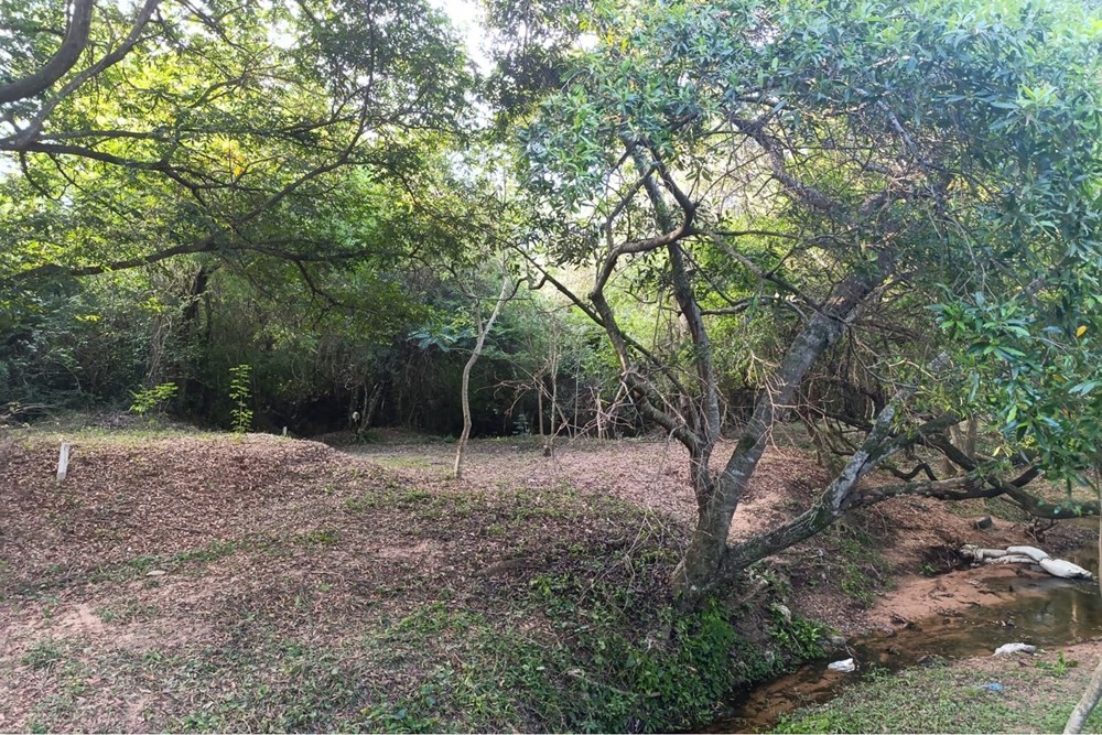 Terreno en venta en San Miguel, Ypané — foto 2