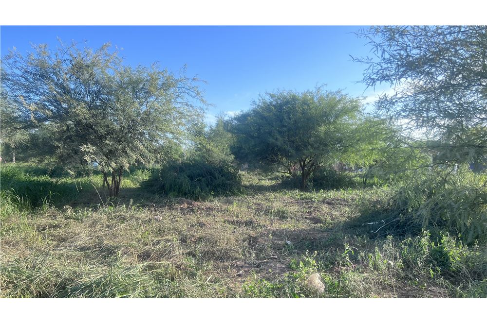 Terreno en venta en Filadelfia — foto 3