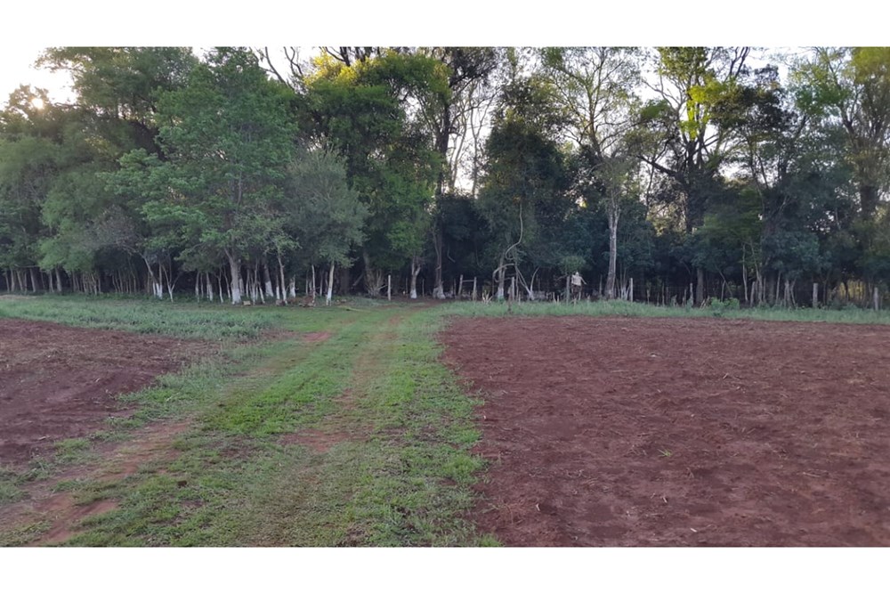 Propiedad en venta en Carmen Del Paraná — foto 2