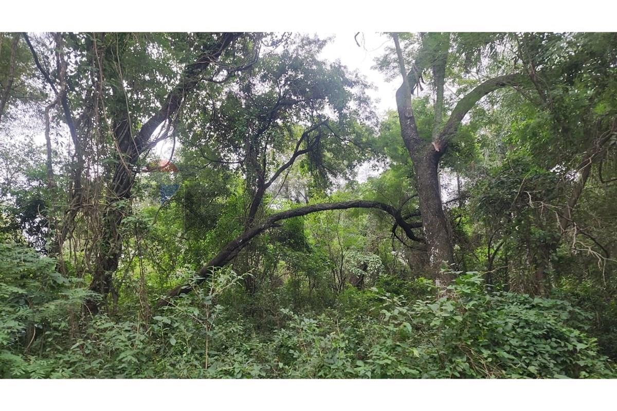 Terreno — Ypacaraí — 3/5