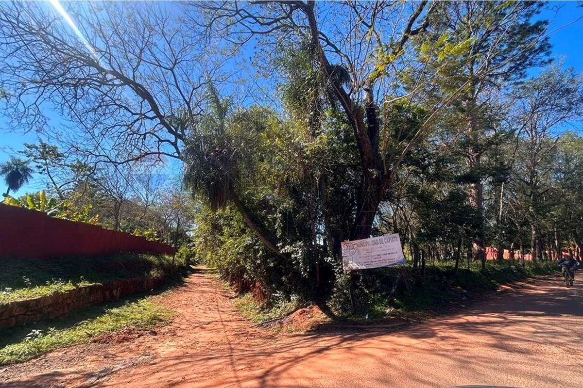 Terreno — Laurelty — 2/5