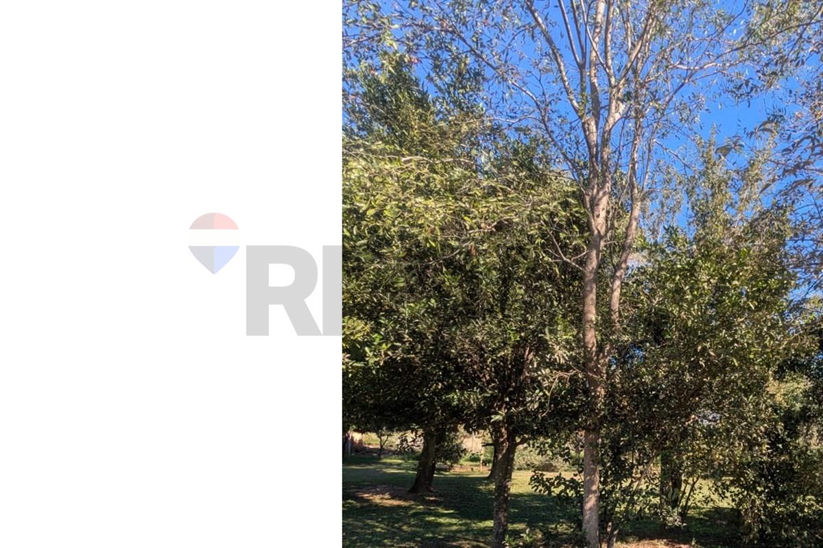 Terreno — Aldana Cañada — 3/5