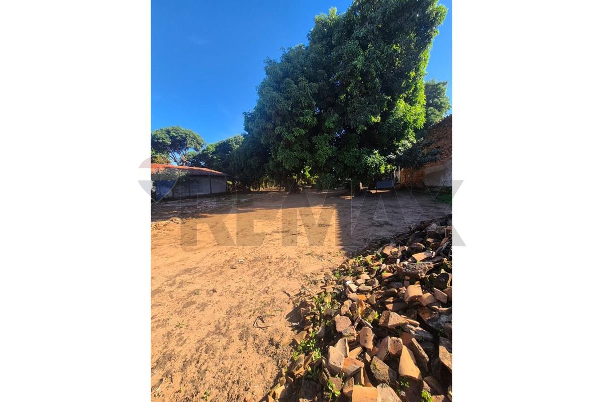 Terreno — Arsenio Erico — 2/5