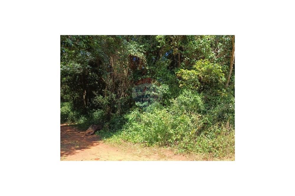 Terreno — Capitán Miranda — 2/5