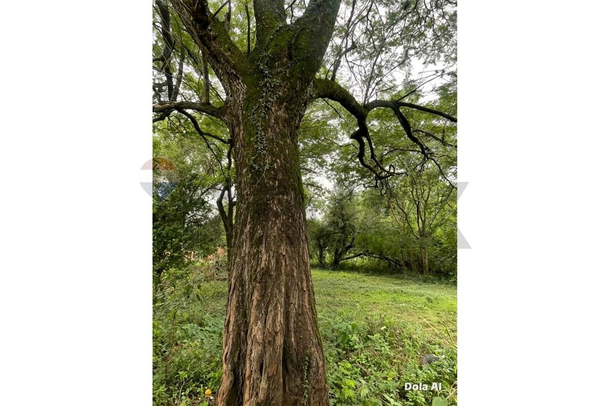 Terreno — Mbayué — 1/3