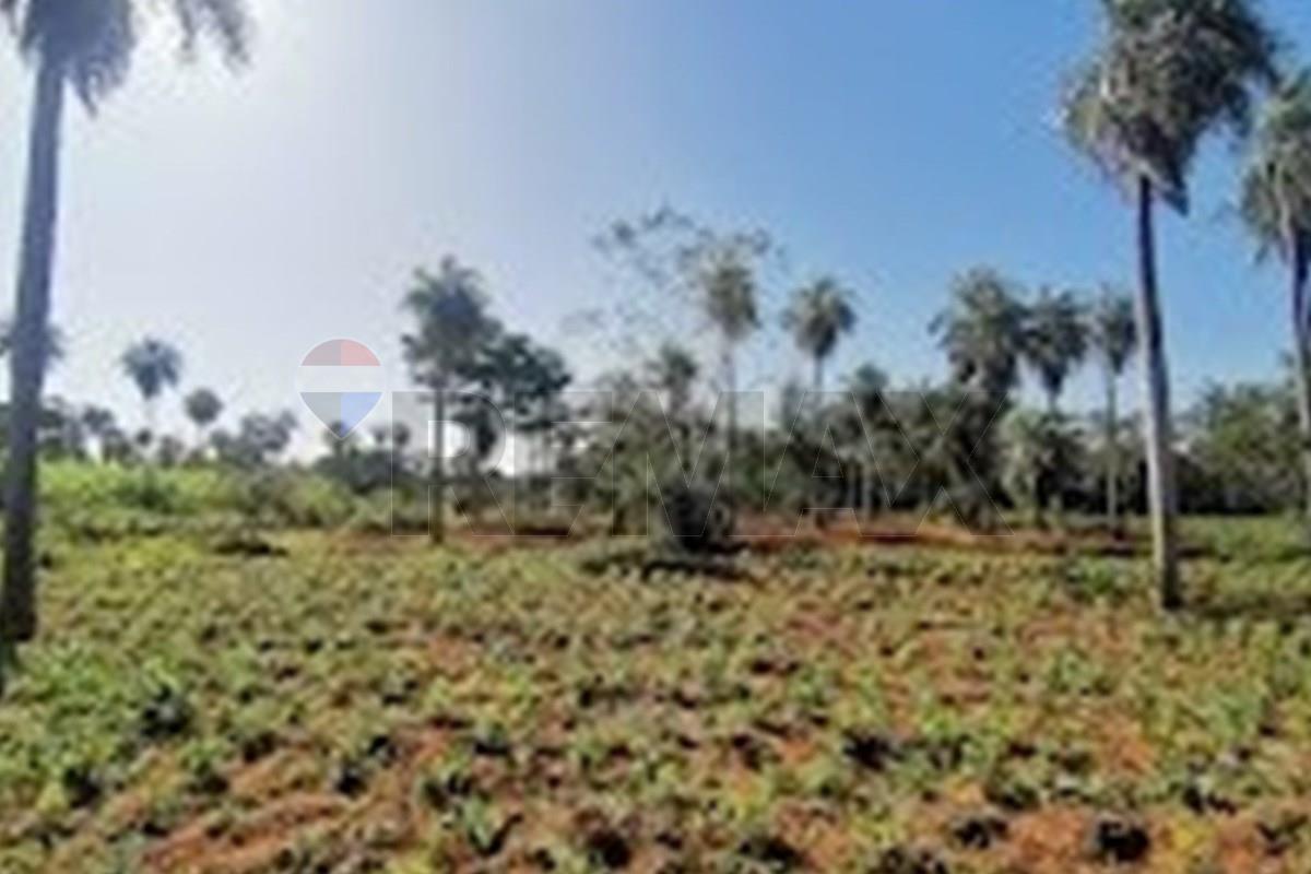Terreno — Ñu Po'i — 3/5