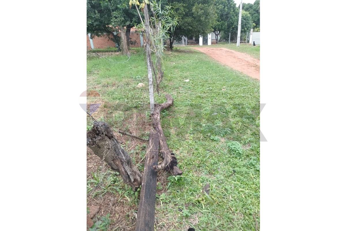 Terreno — Achucarro — 4/5