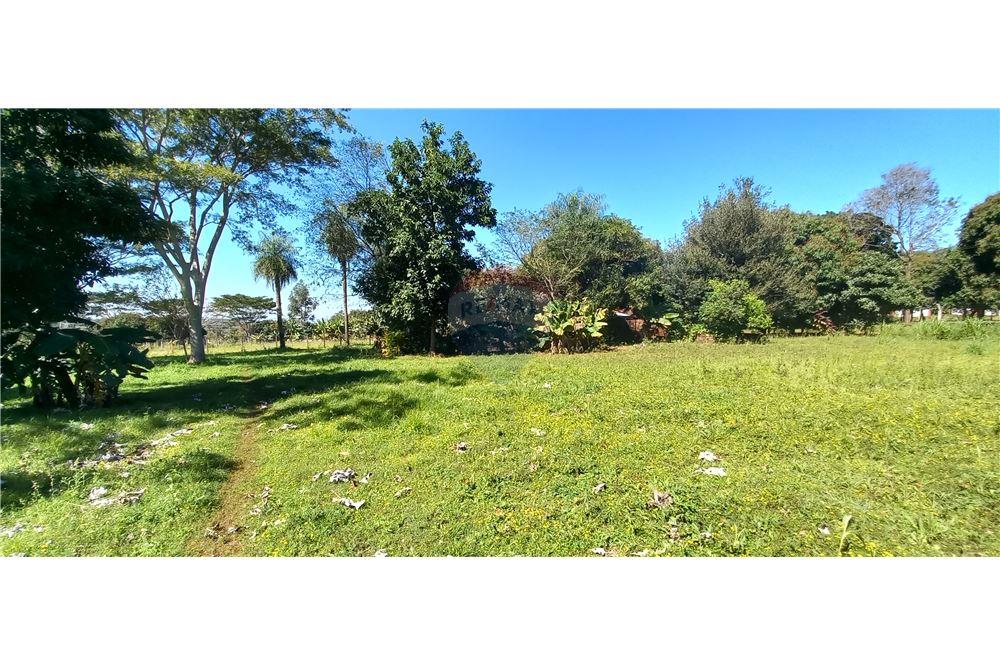 Terreno — San Juan Del Paraná — 5/5