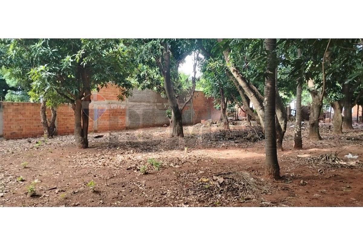 Terreno — Luque — 3/4