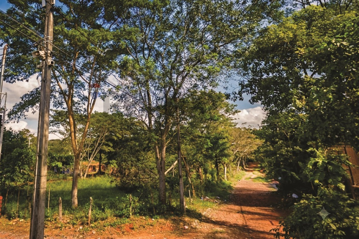Terreno — Mbokajaty — 2/4