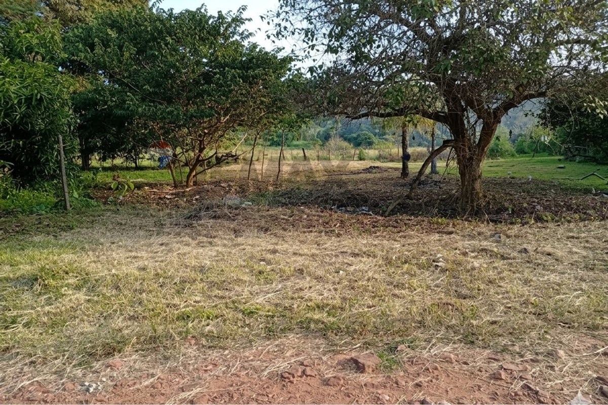 Terreno — Estanzuela — 4/4