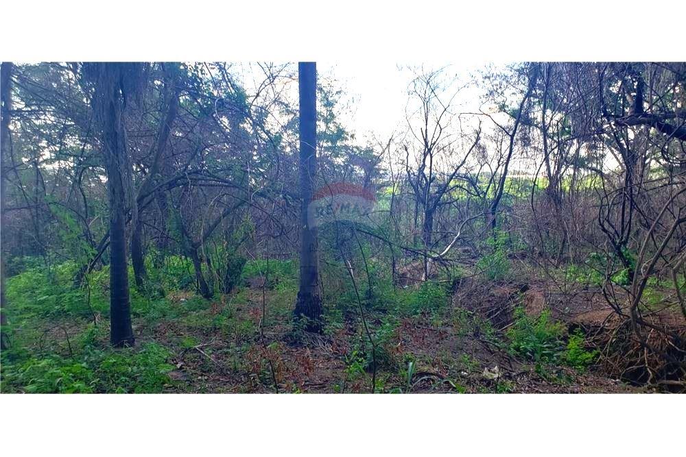 Terreno — Caacupémi — 1/4