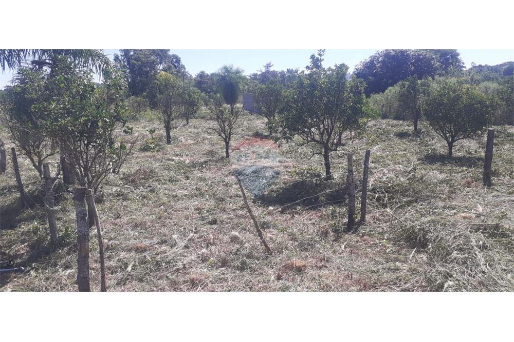 Terreno — San Juan Del Paraná — 2/5
