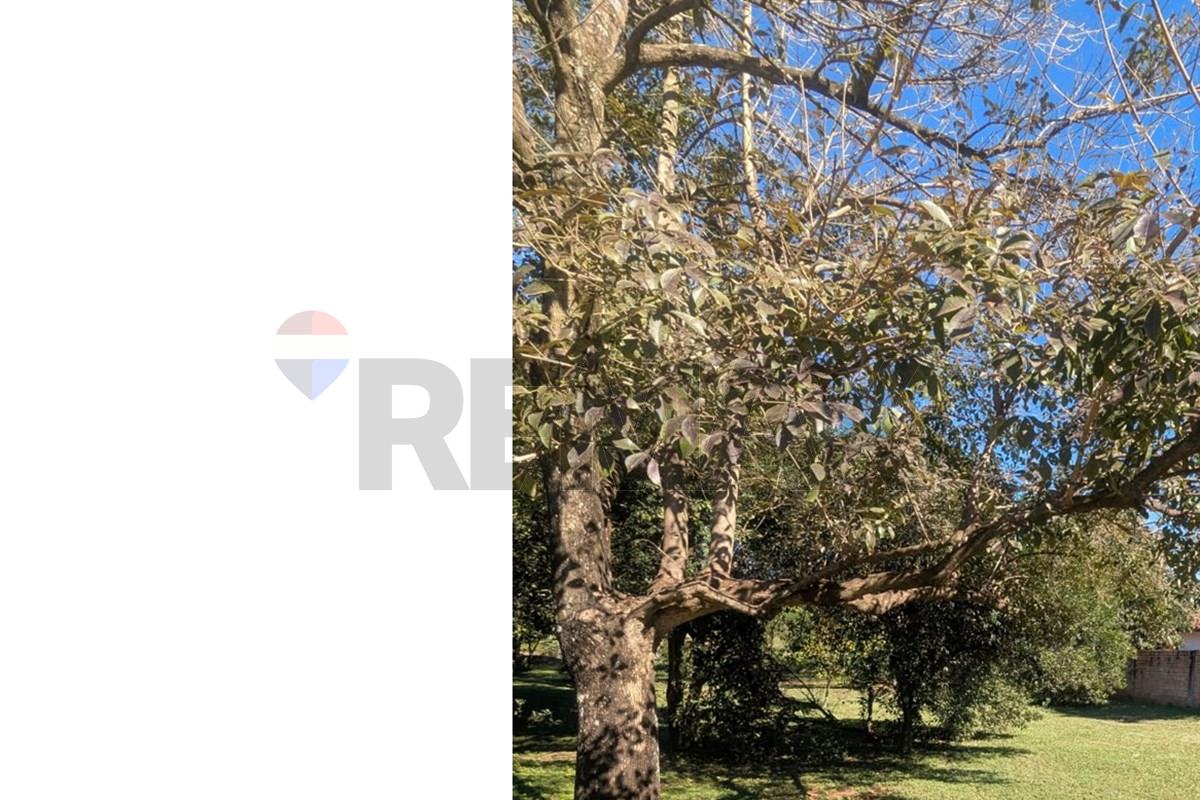 Terreno — Aldana Cañada — 4/5