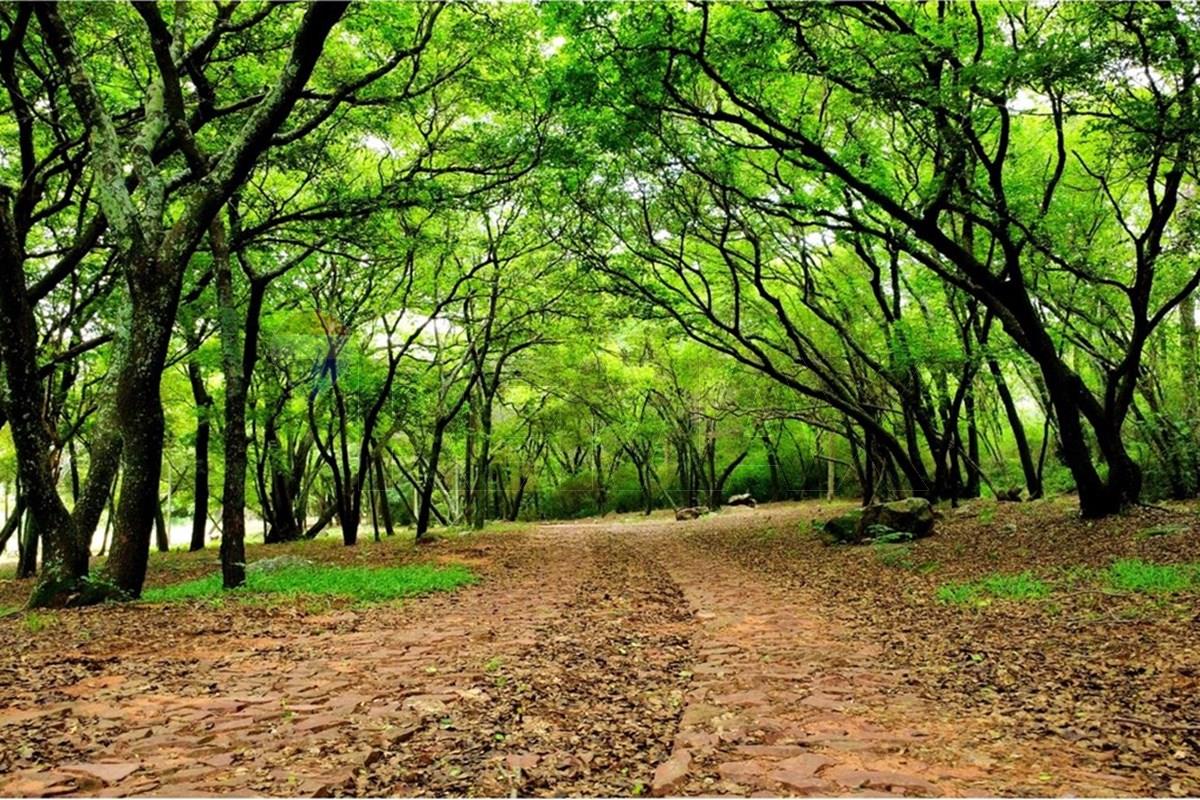 Terreno — Ypacaraí — 3/5