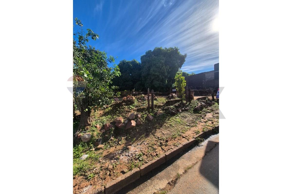 Terreno — Arsenio Erico — 4/5