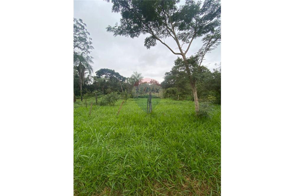 Terreno — San Juan Del Paraná — 3/5