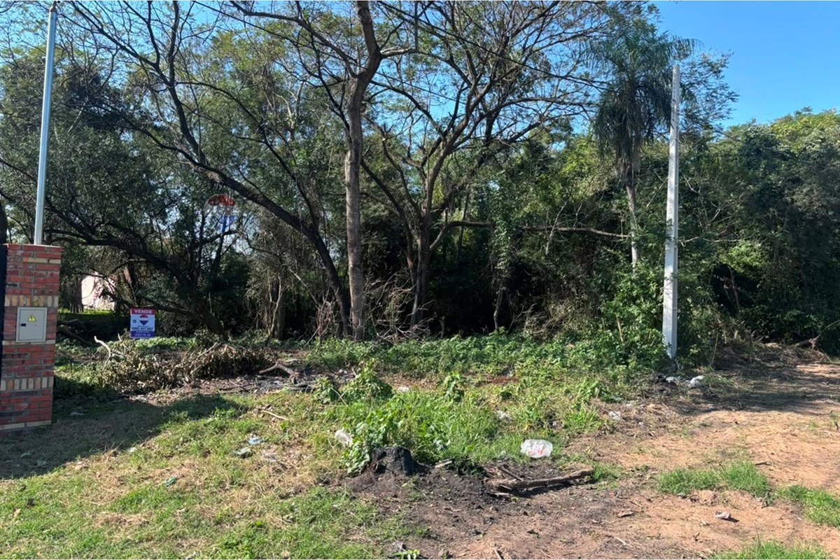 Terreno — Isla Aveiro — 2/5