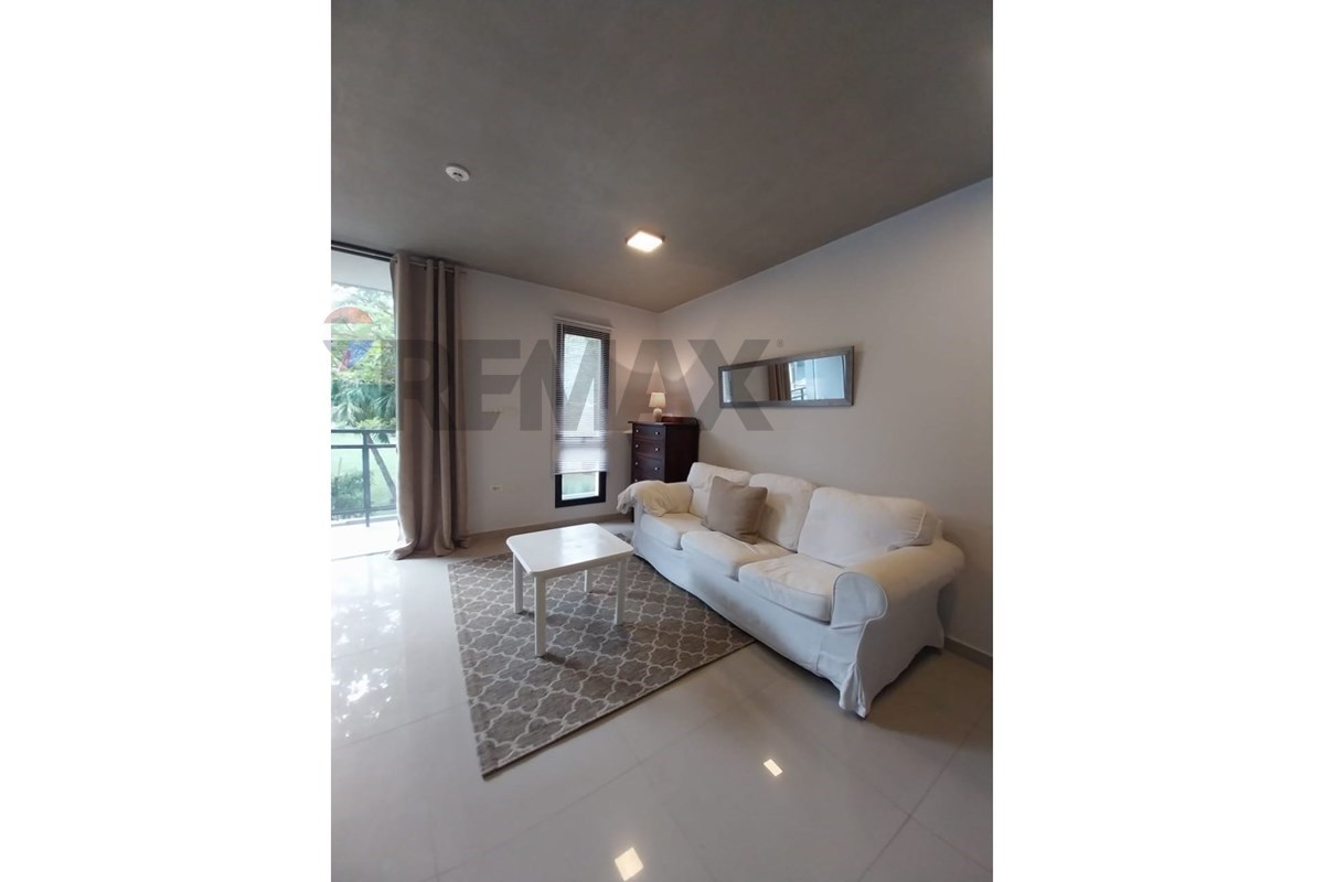 Departamento — 2 dorm. — Campo Grande — 2/5