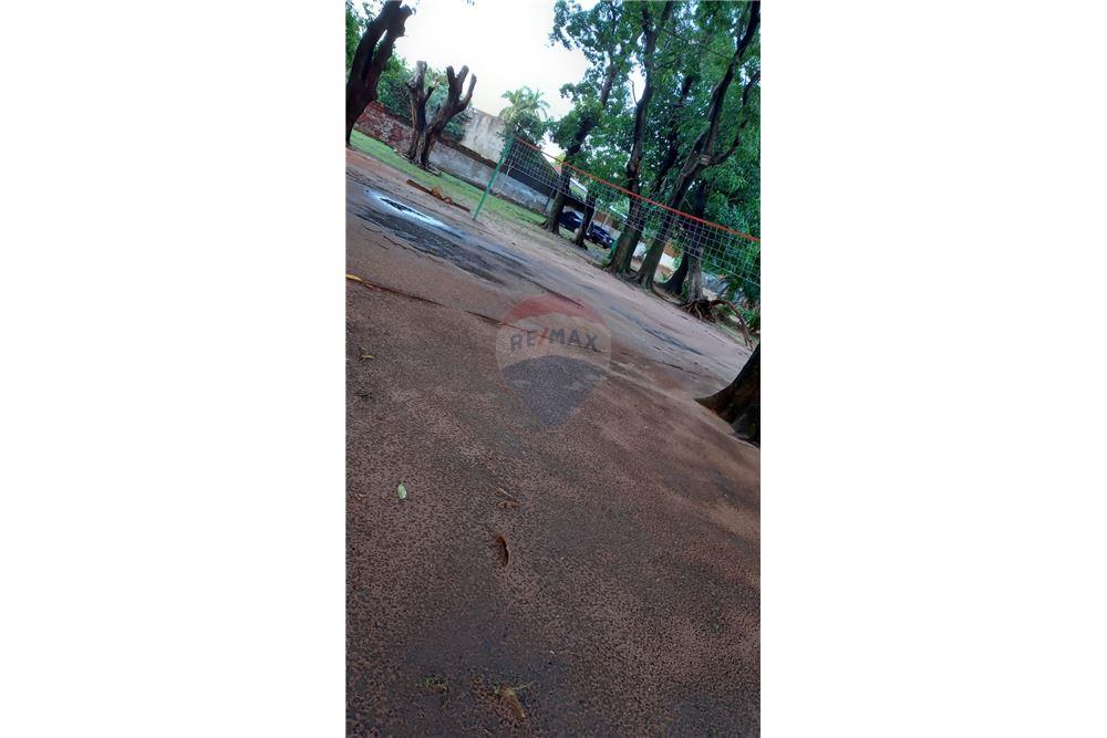 Terreno — Fernando De La Mora — 3/3