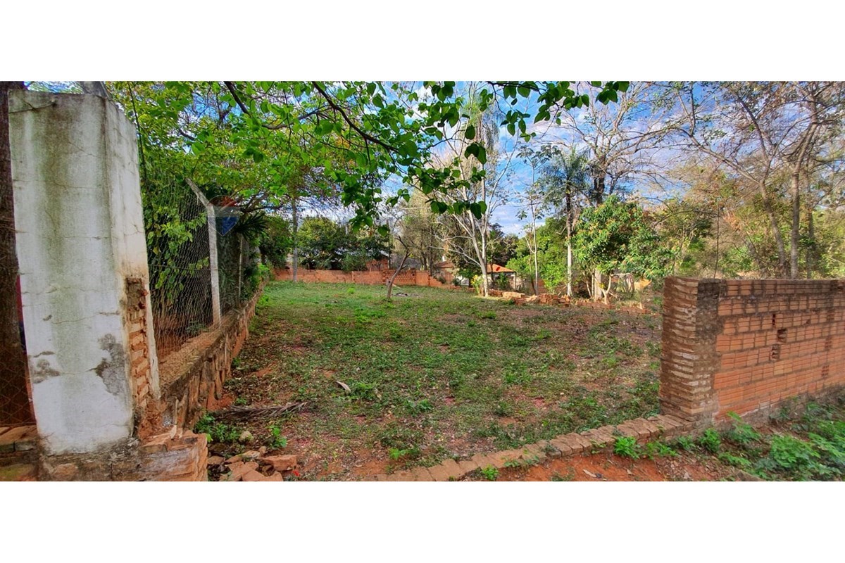 Terreno — Marin Ka'aguy — 3/3