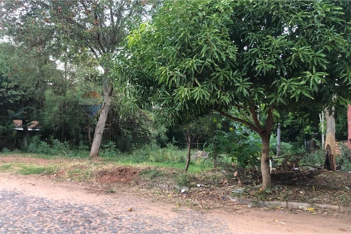 Terreno — San Lorenzo — 1/3