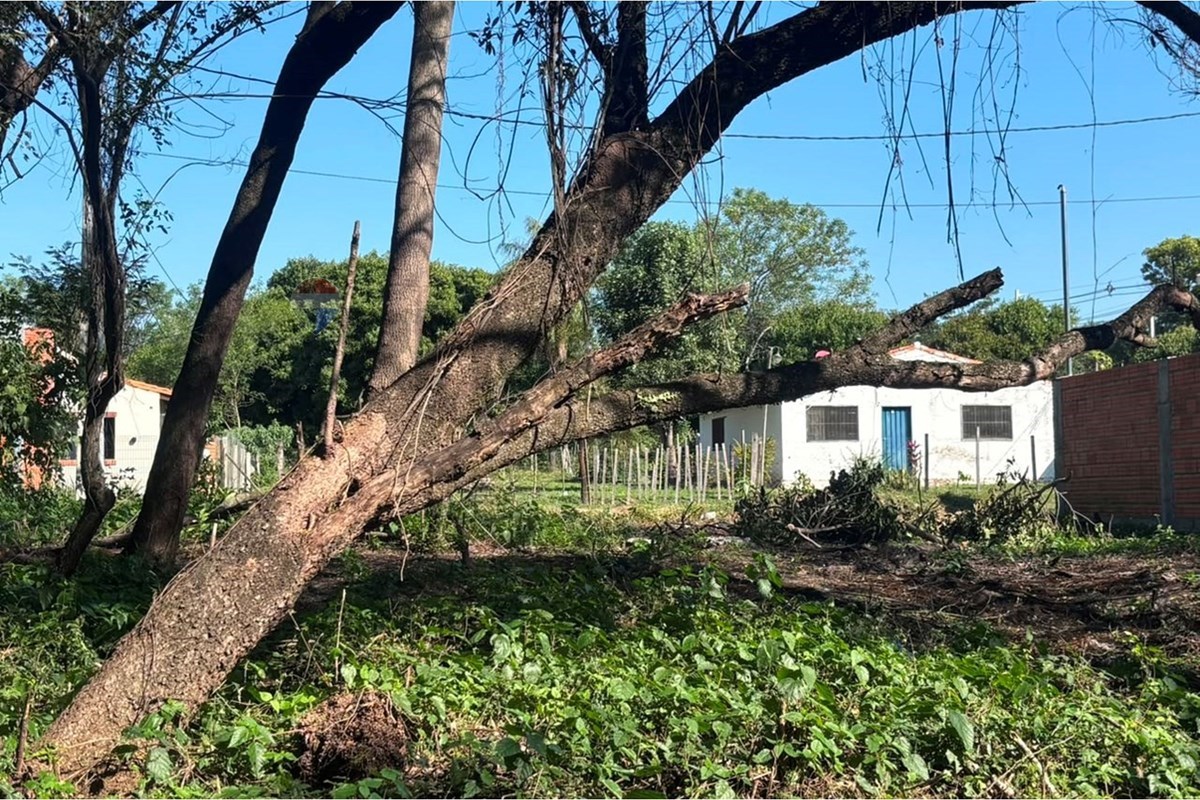 Terreno — Isla Aveiro — 5/5