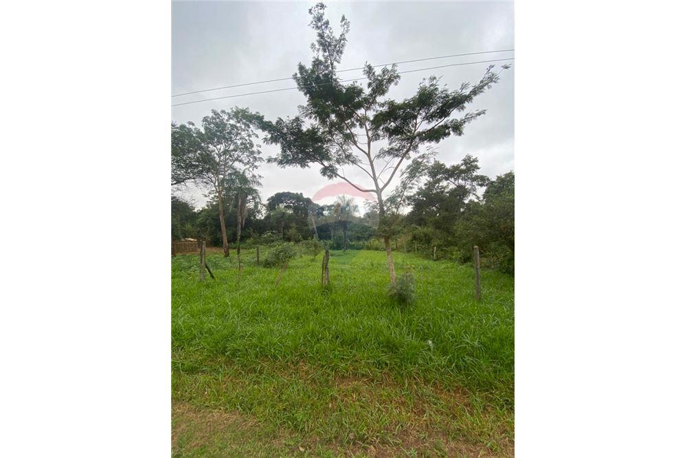 Terreno — San Juan Del Paraná — 5/5