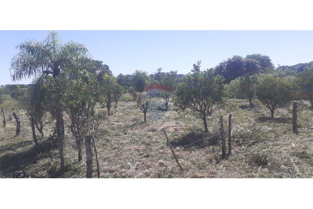 Terreno — San Juan Del Paraná — 1/5