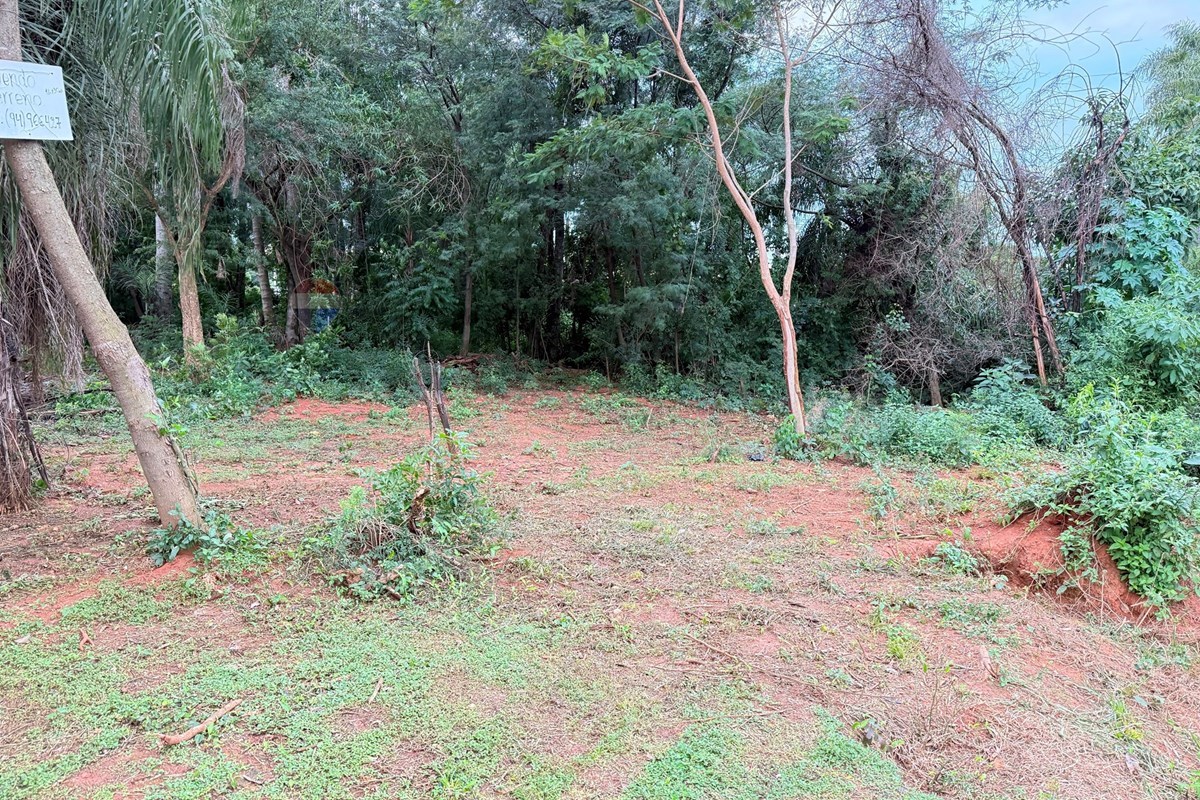 Terreno — Juan de Salazar — 3/5